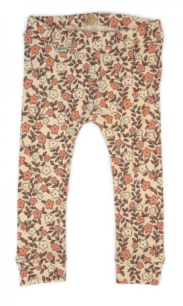 Fotofuze75118161025202514216