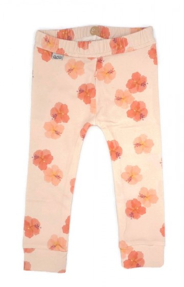 Fotofuze758484644202619146